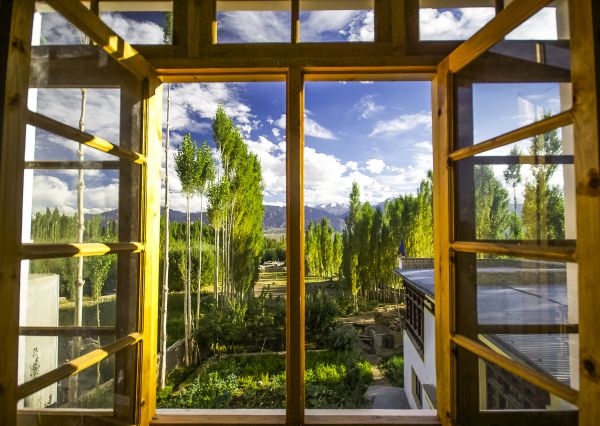 Wood Window Replacement in Broomfield